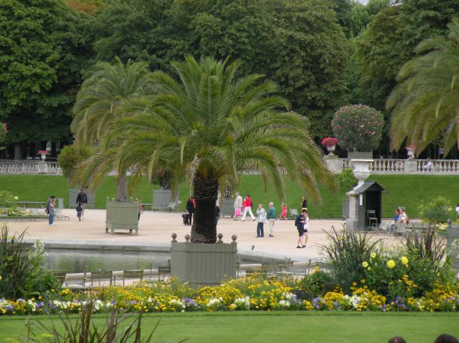  palmier, Luxembourg